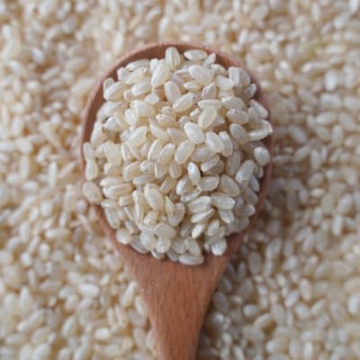 有機こしひかり【玄米】500g×6袋