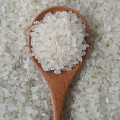 有機こしひかり白米450g×12袋