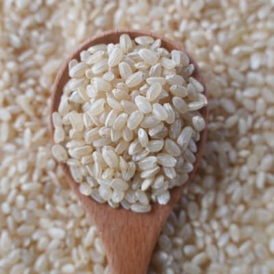 有機こしひかり【玄米】500g×12袋(令和7年産)