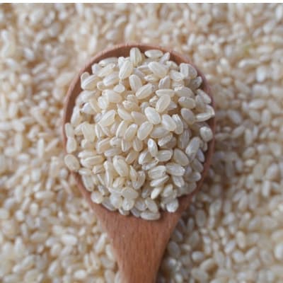 有機こしひかり【玄米】500g×20袋(令和7年産)