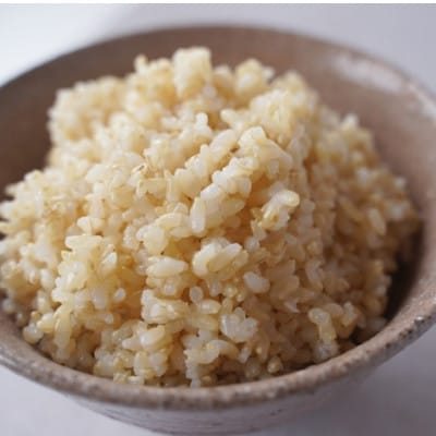 有機こしひかり【玄米】500g×20袋(令和7年産)