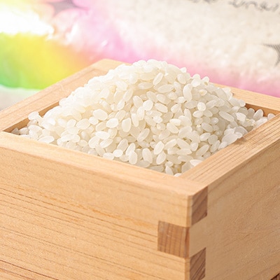 【令和7年産先行受付】農家直送　新米　にじのきらめき　精米5kg(10月下旬以降発送)