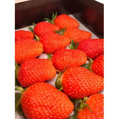 群馬県産 やよいひめ 厳選15粒 黒化粧箱入り プレミアムギフト