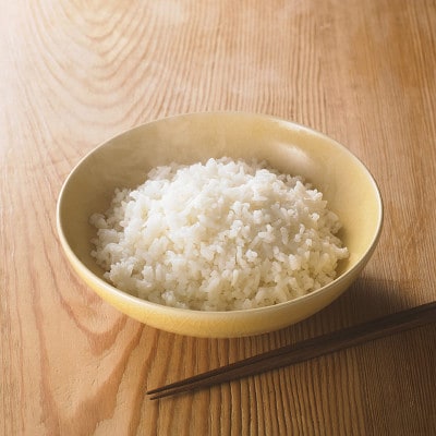 長期保存食「IZAMESHI(イザメシ)」ごはん 48個セット(1ケース)5年保存 アルファ化米