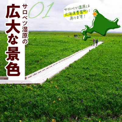 サロベツ湿原体験!木道自然ガイド 1名様【5～9月】
