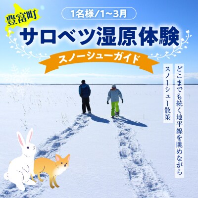 サロベツ湿原体験!スノーシューガイド 1名様 【1～3月】