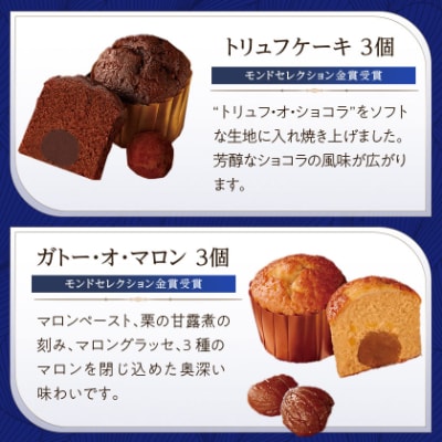 ブールミッシュ　ギフトセット　16個入り【東京・銀座本店のフランス菓子ナショナルブランド】