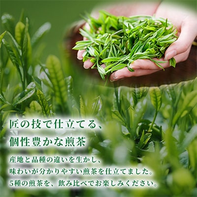 茶の匠シリーズ全国の日本茶飲み比べセット