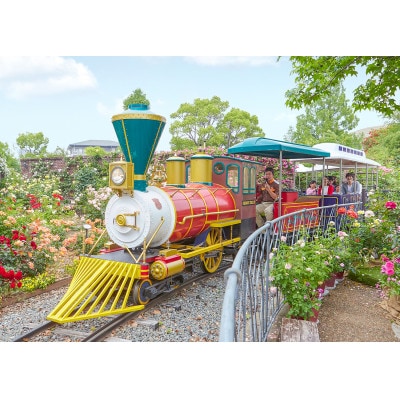 ひらかたパーク　フリーパス引換券付入園券　2歳～未就学児　1枚【2025年3月31日(月)迄】