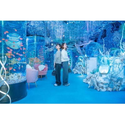 ひらかたパーク　フリーパス引換券付入園券　おとな(中学生以上)1枚【2027年3月31日迄】