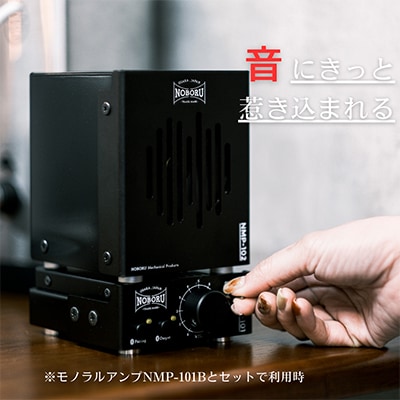 金属製ボックススピーカー　ブラック　NMP-102B