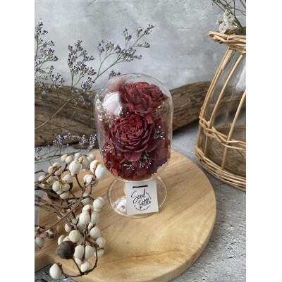 【赤系】天球bottle flowers　Msize