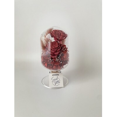 【赤系】天球bottle flowers　Msize