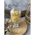 【黄色系】天球bottle flowers　Msize