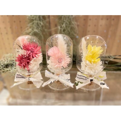 【ピンク系】天球bottle flowers Msize
