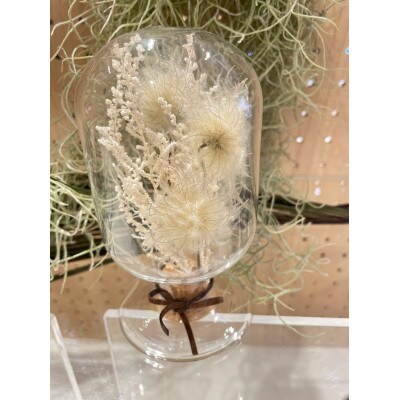 【白系】天球bottle flowers Msize