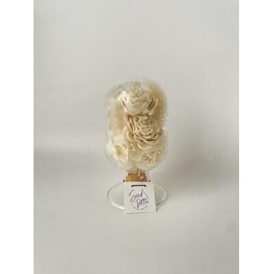【白系】天球bottle flowers　Msize