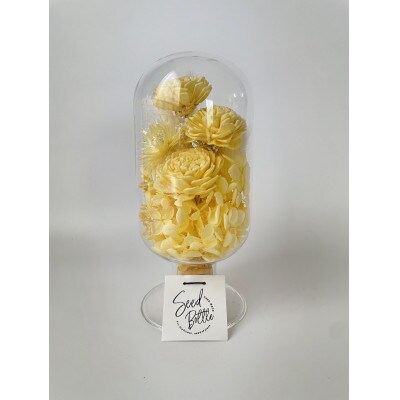 【黄色系】天球bottle flowers　Lsize