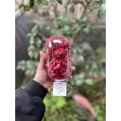 【赤系】天球bottle flowers　Lsize