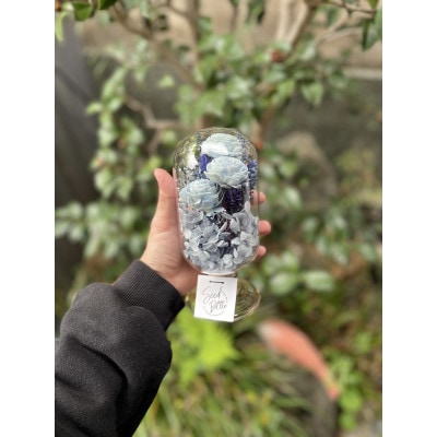 【青系】天球bottle flowers　Lsize