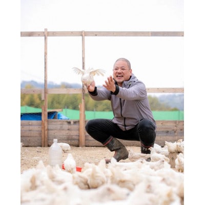 大切な人に贈る青い卵「恩卵」10個|平飼い自然養鶏・木箱入り|大阪府枚方市|ふじよだ養鶏