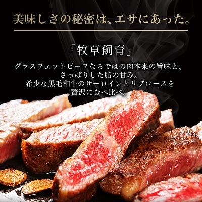 和牛道ステーキセット(サーロインステーキ200g・リブロースステーキ200g)