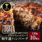 和牛道ハンバーグ120g×10食セット 北海道 大樹町 国産 黒毛和牛 グラスフェッドビーフ