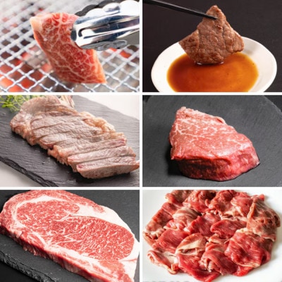 【毎月定期便】十勝姫  北海道 黒毛和牛 焼肉・ステーキ・しゃぶしゃぶ用 グラスフェットビーフ全6回