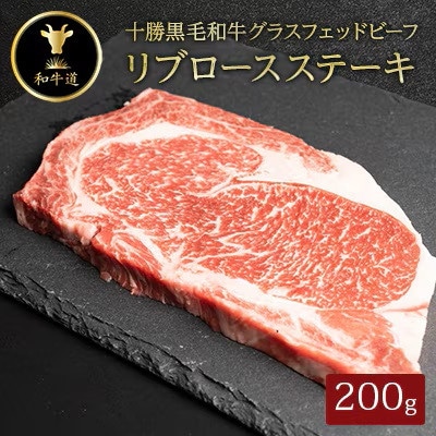 【毎月定期便】十勝姫 北海道 黒毛和牛 ステーキ グラスフェットビーフ 3種全3回