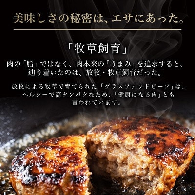 【毎月定期便】和牛道ハンバーグ120g×6食セット 大樹町 黒毛和牛 グラスフェッドビーフ全12回