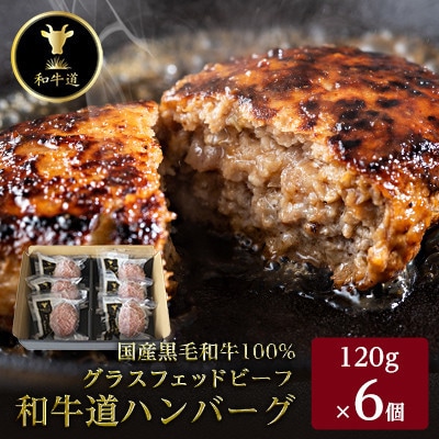 【毎月定期便】和牛道ハンバーグ120g×6食セット 大樹町 国産黒毛和牛 グラスフェッドビーフ全3回