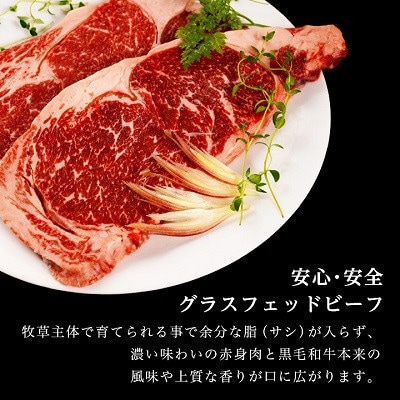 【毎月定期便】和牛道ハンバーグ120g×6食セット 大樹町 国産黒毛和牛 グラスフェッドビーフ全3回