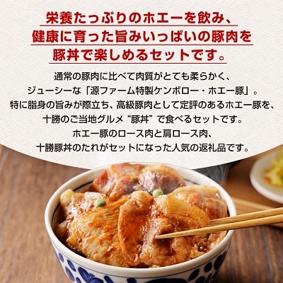 北海道十勝のグルメ!ホエー豚の豚丼セット(10人前)【CT-004】