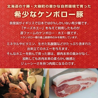 北海道十勝のグルメ!ホエー豚の豚丼セット(10人前)【CT-004】