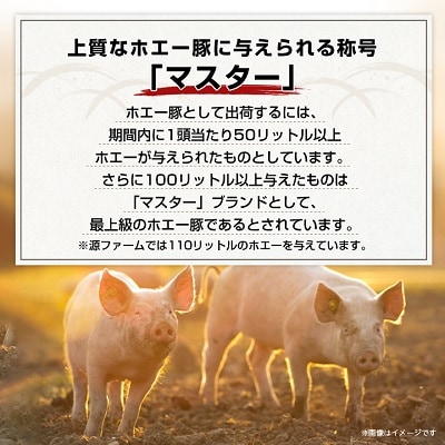 北海道十勝のグルメ!ホエー豚の豚丼セット(10人前)【CT-004】