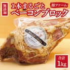 【無添加】ケンボロー・ホエー豚　ベーコンブロック肉【CT-009】