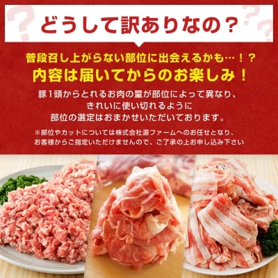 【訳あり】十勝ホエー豚 豚肉 詰め合わせ 約1.1kg 部位おまかせ! 豚丼の具 ひき肉 小分け