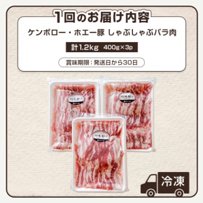 【2ヵ月毎定期便】十勝産 ホエー豚 しゃぶしゃぶバラ肉1.2kg(400g×3パック)全3回