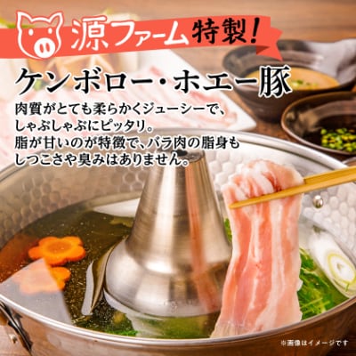 【毎月定期便】北海道十勝産 ホエー豚 しゃぶしゃぶバラ肉1.2kg(400g×3パック)全6回