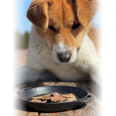 ぺット向たんぱくジャーキー　30g×10袋セット