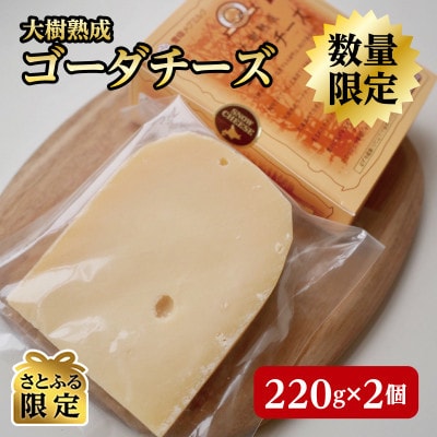 【さとふる限定・数量限定】雪印メグミルク製造の大樹熟成ゴーダチーズ【AT-018】