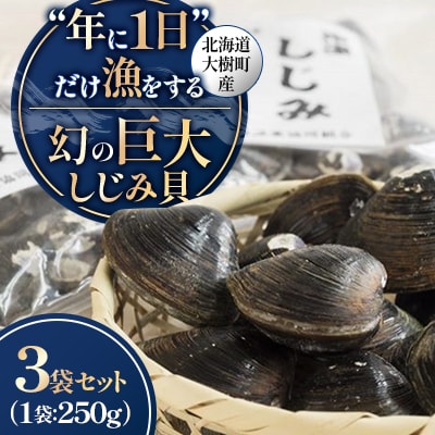 【数量限定】幻の「巨大しじみ貝」3袋セット(250g×3袋)