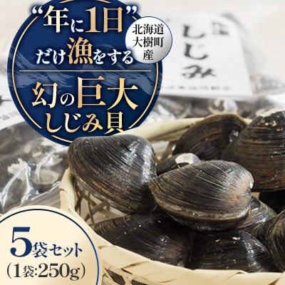 【数量限定】幻の「巨大しじみ貝」5袋セット(250g×5袋)