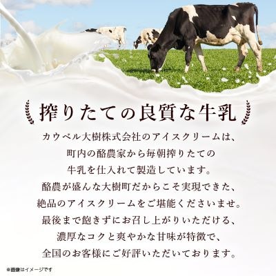 【2ヵ月毎定期便】カウベルアイスクリーム9種16個セット 新鮮濃厚ミルク 北海道産素材全3回