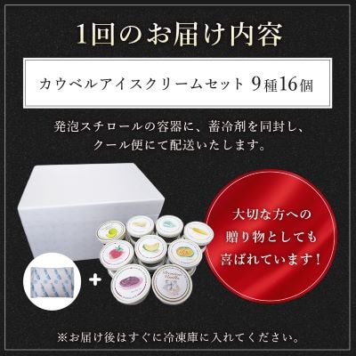 【2ヵ月毎定期便】カウベルアイスクリーム9種16個セット 新鮮濃厚ミルク 北海道産素材全3回