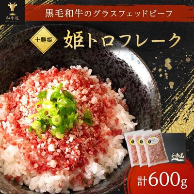 【毎月定期便】北海道十勝大樹町 特選定期便B ( アイス 牛肉 フレーク チーズ )全3回