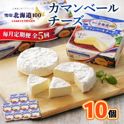 【毎月定期便】雪印北海道 カマンベールチーズ 1箱(90g×10個入り)全5回