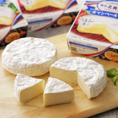 【毎月定期便】雪印北海道 カマンベールチーズ 1箱(90g×10個入り)全5回