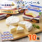 【2ヵ月毎定期便】雪印北海道 カマンベールチーズ 1箱(90g×10個入り)全3回