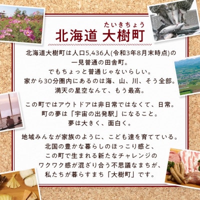 【2ヵ月毎定期便】雪印北海道 カマンベールチーズ 1箱(90g×10個入り)全3回